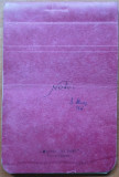 Manuscris Dumitru Almas; Insemnari, 74 pagini text olograf, nepublicat