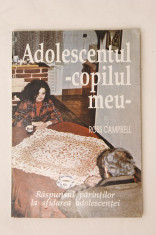 Adolescetul - copilul meu foto