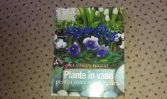 Cartea Plante in vase pentru toate anotimpurile, ed.R&amp;amp;D,pag 320 foto