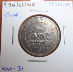 AFRICA DE EST 1 SHILLING 1950H KM 31 foto