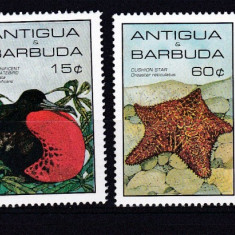 Antigua si Barbuda 1985 fauna marina MI 880-883 MNH w13