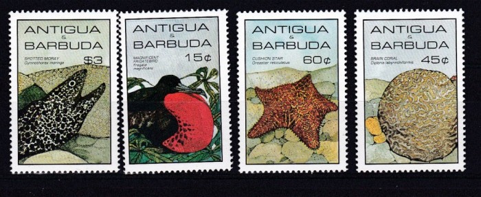Antigua si Barbuda 1985 fauna marina MI 880-883 MNH w13