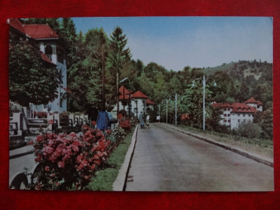 SEPT15-Vedere/Carte postala-Olanesti-circulata foto