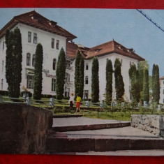 SEPT15-Vedere/Carte postala-Olanesti-Vila Florilor-Intreg postal-circulat