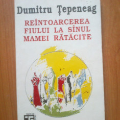 n1 DUMITRU TEPENEAG - REINTOARCEREA FIULUI LA SANUL MAMEI RATACITE