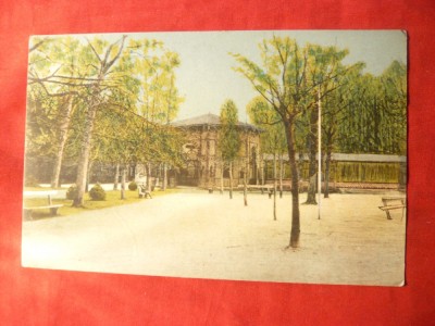 Ilustrata Buzias - Izvorul Iosif , circulat 1924 , color foto