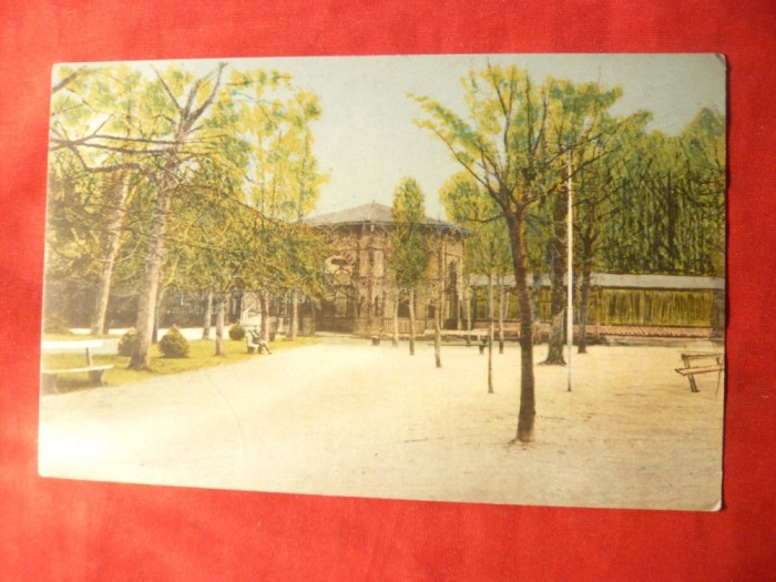 Ilustrata Buzias - Izvorul Iosif , circulat 1924 , color