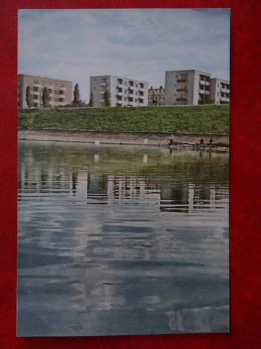 SEPT15-Vedere/Carte postala-Oradea-Blocuri de locuinte pe malul Crisului