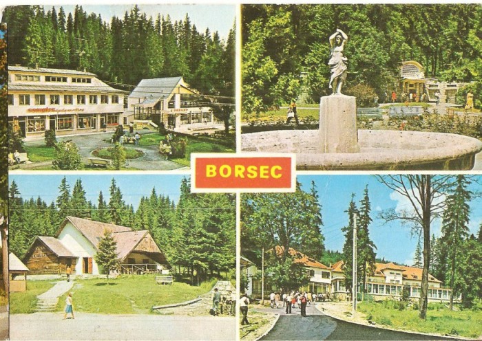 CPI (B5800) BORSEC. CIRCULATA 1986, STAMPILE, TIMBRU