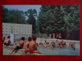 SEPT15-Vedere/Carte postala-Oradea-Baile 1 Mai-Bazinul-circulata, Printata