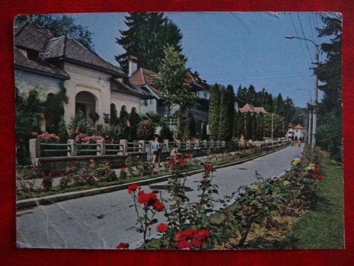 SEPT15-Vedere/Carte postala-Olanesti-circulata