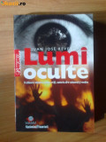 LUMI OCULTE DE JUAN JOSE REVENGA 2006