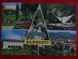 SEPT15-Vedere/Carte postala-Olanesti-circulata, Printata