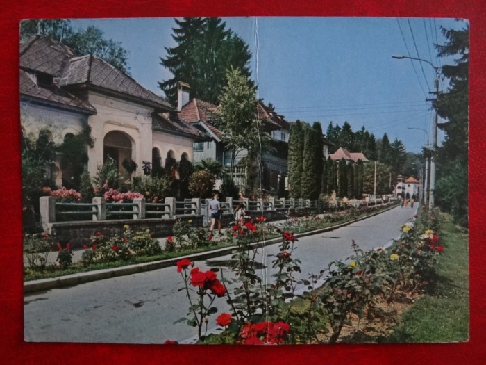 SEPT15-Vedere/Carte postala-Olanesti-Intreg postal-circulata