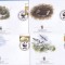 FDC WWF SET COMPLECT BERMUDA PASARI 2001