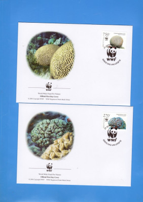 FDC WWF SET COMPLECT ANIMALE MARINE 2005 ANTILELE OLANDEZE foto