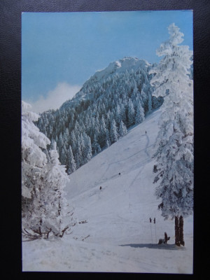 SEPT15-Vedere/Carte postala-Peisaj de iarna la Cristianul Mare-necirculata foto