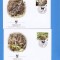 FDC WWF SET COMPLECT ANIMALE AFGANISTAN 2004