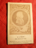Fotografie veche pe carton sec.XIX- Portret W.A.Mozart , dim.=6,6 x 11cm