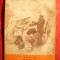Fotografie veche pe carton sec.XIX- W.A.Mozart , dim.=10,5 x15,7 cm