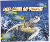 PALAU 2004 TESTOASE