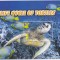 PALAU 2004 TESTOASE