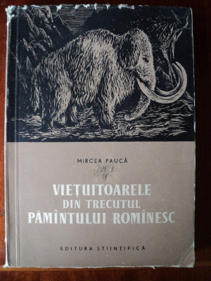 Vietuitoarele din trecutul pamantului romanesc / Mircea Pauca foto