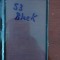 Pachet Geam + capac spate Samsung Galaxy S3 i9300 alb / negru touchscreen ecran