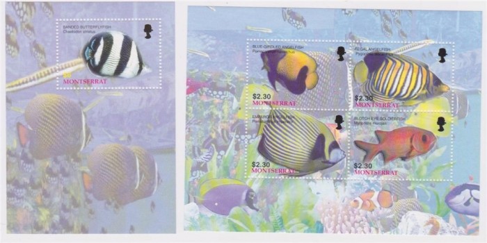 MONTSERRAT 2004 PESTI