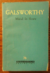 Galsworthy - Marul in floare foto