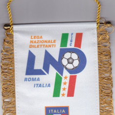 Fanion Federatia de Fotbal din ITALIA (Liga Nationala de Amatori)