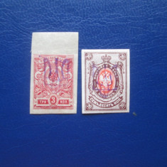 TIMBRE RUSIA 1919 CU GUMA