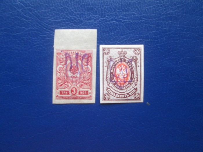 TIMBRE RUSIA 1919 CU GUMA