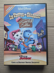 In Vestul Salbatic cu Seriful Callie - 10 DVD-uri Desene Animate Dublate Romana foto