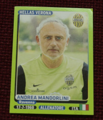 cartonas / Sticker fotbal - A Mandorlini / Hellas Verona - Calciatori 2014 -2015 foto