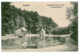 1791 - FAGARAS, Brasov, park - old postcard - unused, Necirculata, Printata