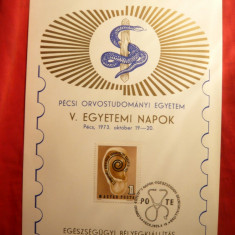 Carton Expozitie V.E.Egyetami Napok '73 , stampila speciala si timbru