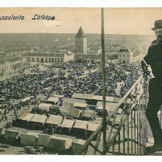 82 - SALONTA, Bihor, Synagogue to left , Market - old postcard - used - 1914