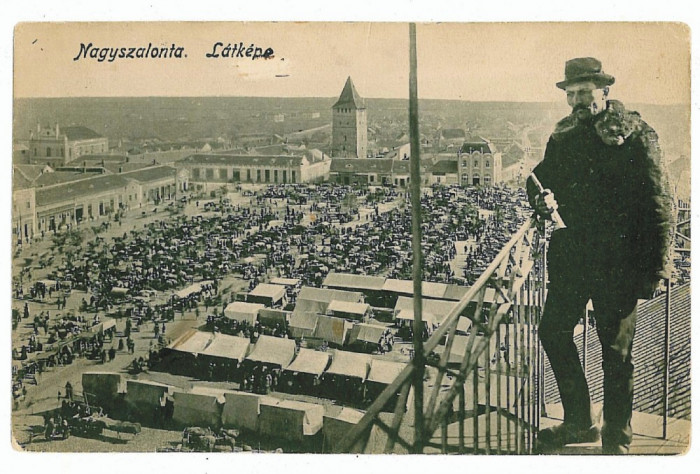 82 - SALONTA, Bihor, Synagogue to left , Market - old postcard - used - 1914