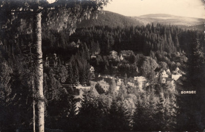 BORSEC, VEDERE GENERALA , G.HEITER , FOTOGRAF AL CURTII REGALE foto