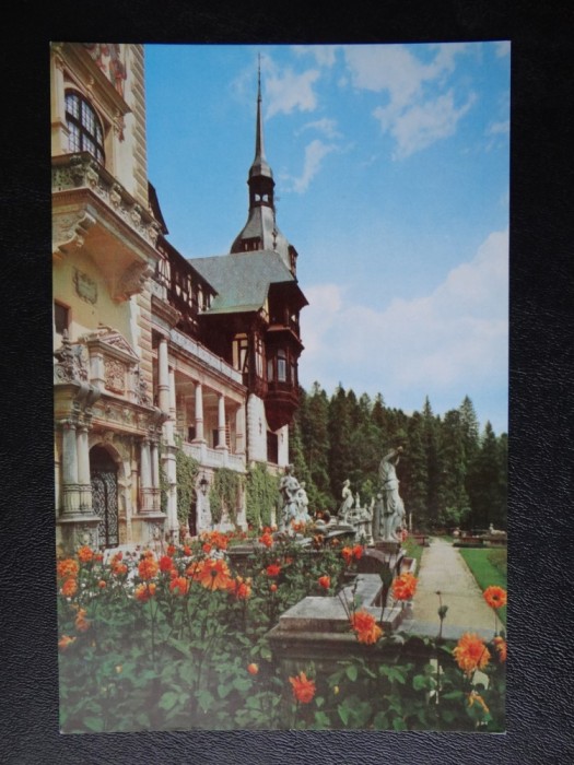 aug15 - Vedere/ Carte postala - Sinaia