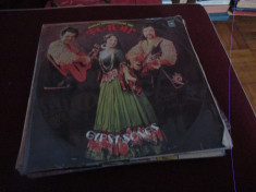 DISC VINIL ROMANY VOCAL AND INSTRUMENTAL TRIO GYPSY SONGS foto