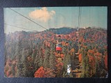 aug15 - Vedere/ Carte postala - Sinaia