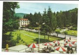 @carte postala(ilustrata)-SOVATA -MURES-Terasa Bucurie