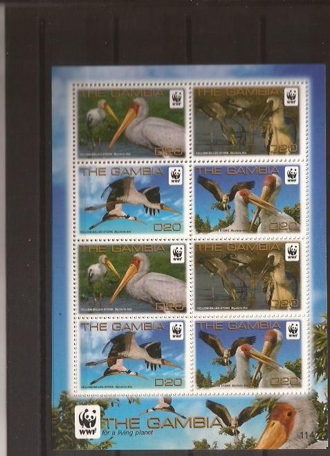 Gambia - WWF pasari - 6649/02 klbg(2 s)