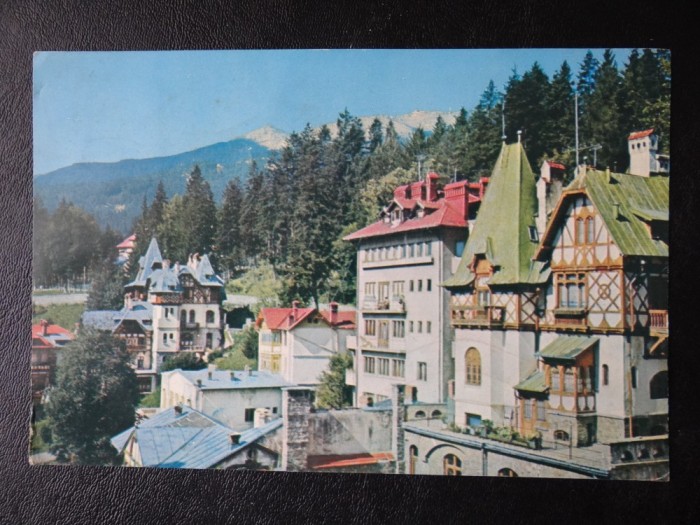 aug15 - Vedere/ Carte postala - Sinaia