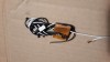 Antena WiFi Wireless Laptop Acer Aspire 5251 5253 5551 5733 5741 E455 E443 5736z Stanga