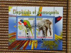 2 colite stampilate papagali si elefanti, 2008, Benin foto