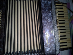 Acordeon Timi? Superb foto