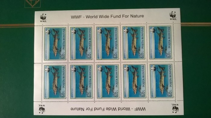 COALA DE 10 ROMANIA STURIONI 1994 MNH